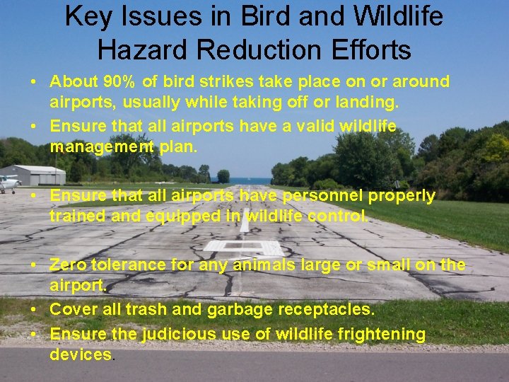 Key Issues in Bird and Wildlife Hazard Reduction Efforts • About 90% of bird