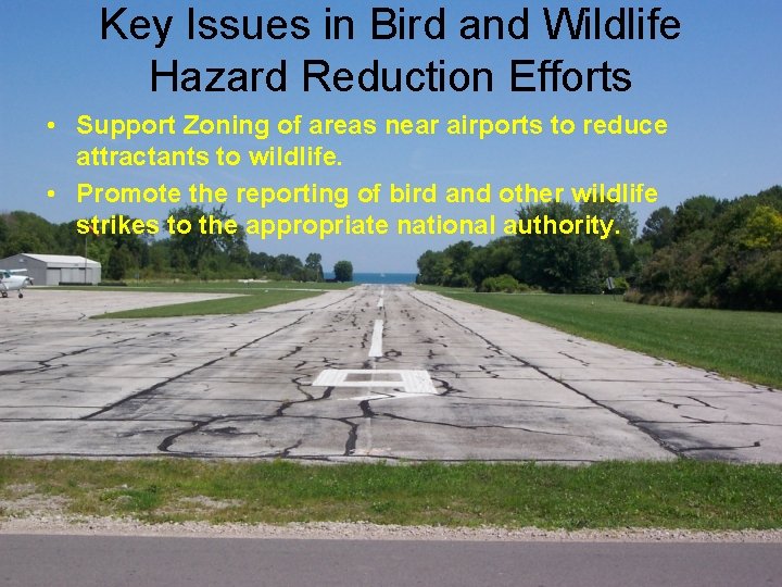 Key Issues in Bird and Wildlife Hazard Reduction Efforts • Support Zoning of areas