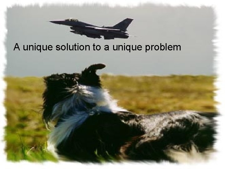 A unique solution to a unique problem 