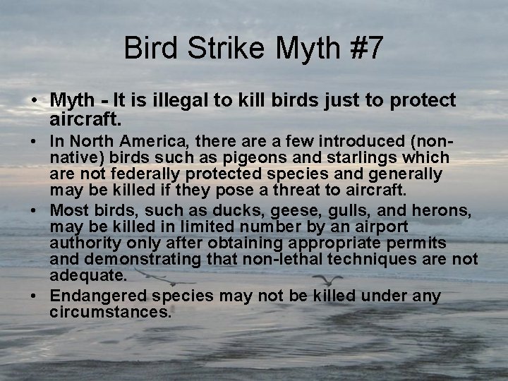 Bird Strike Myth #7 • Myth - It is illegal to kill birds just