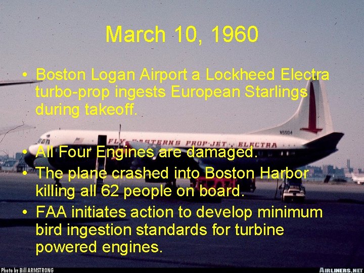 March 10, 1960 • Boston Logan Airport a Lockheed Electra turbo-prop ingests European Starlings