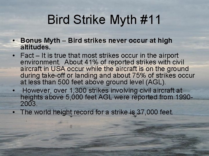 Bird Strike Myth #11 • Bonus Myth – Bird strikes never occur at high