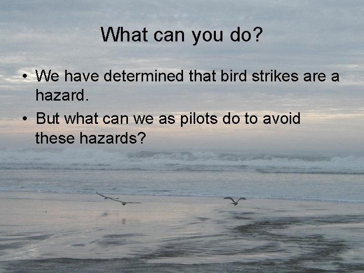 What can you do? • We have determined that bird strikes are a hazard.