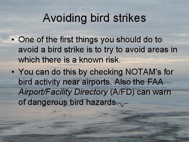 Avoiding bird strikes • One of the first things you should do to avoid