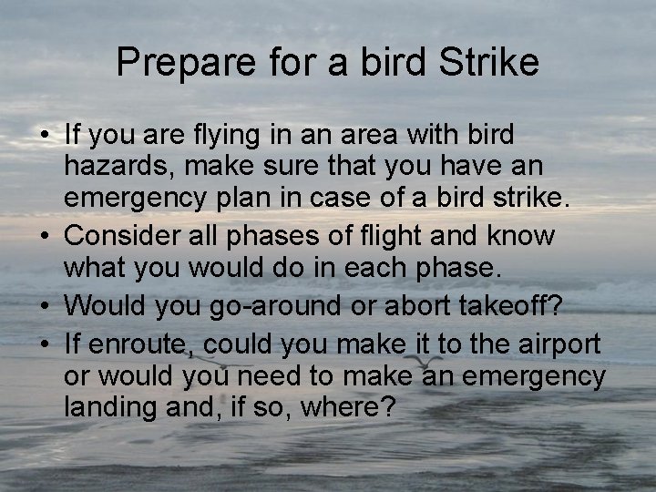 Prepare for a bird Strike • If you are flying in an area with