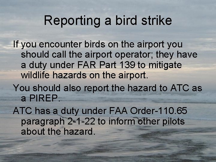 Reporting a bird strike If you encounter birds on the airport you should call