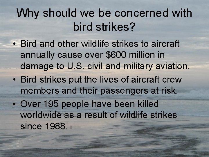 Why should we be concerned with bird strikes? • Bird and other wildlife strikes
