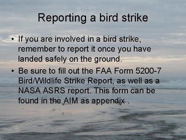 Reporting a bird strike • If you are involved in a bird strike, remember