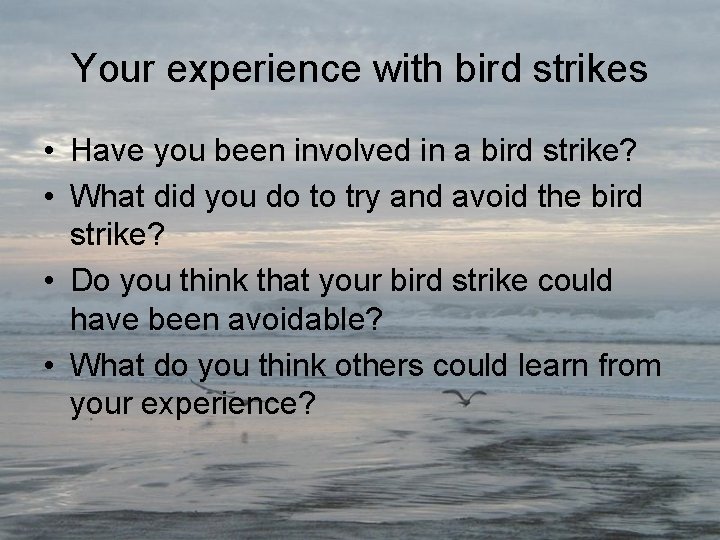 Your experience with bird strikes • Have you been involved in a bird strike?