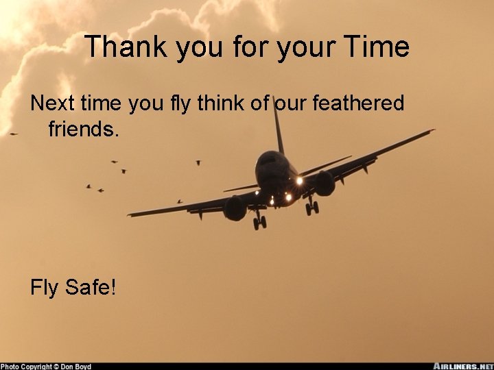 Thank you for your Time Next time you fly think of our feathered friends.