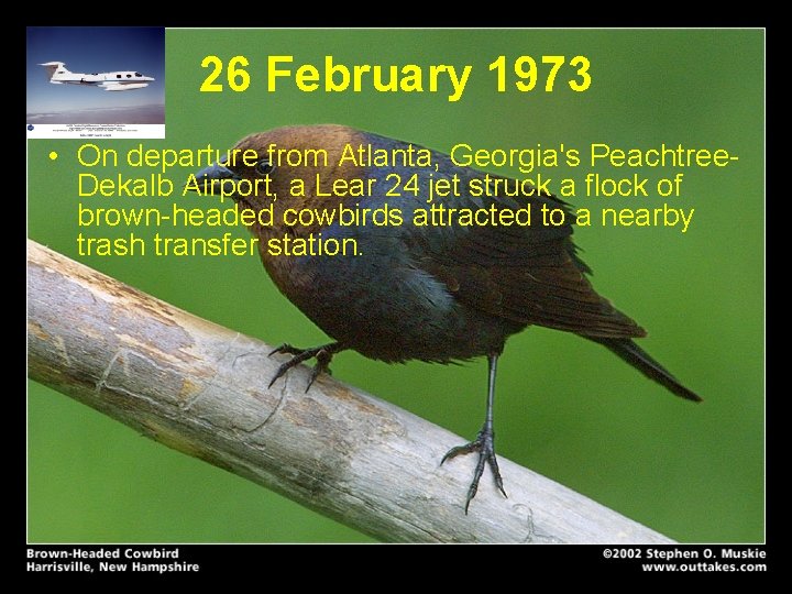 26 February 1973 • On departure from Atlanta, Georgia's Peachtree. Dekalb Airport, a Lear