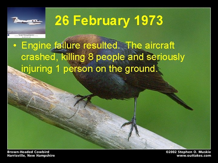 26 February 1973 • Engine failure resulted. The aircraft crashed, killing 8 people and