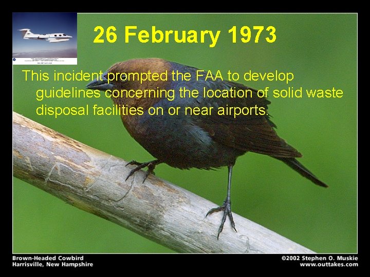 26 February 1973 This incident prompted the FAA to develop guidelines concerning the location