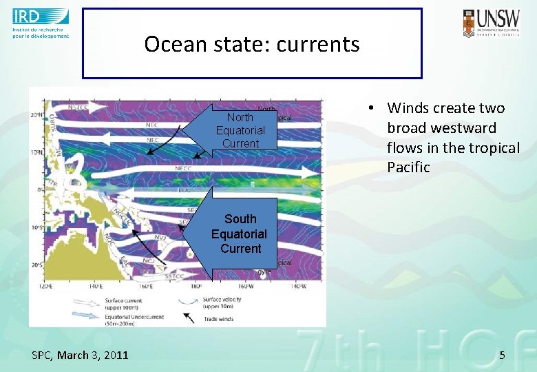 Ocean state: currents North Equatorial Current • Winds create two broad westward flows in