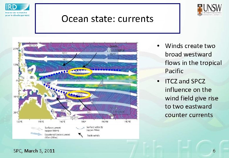 Ocean state: currents • Winds create two broad westward flows in the tropical Pacific