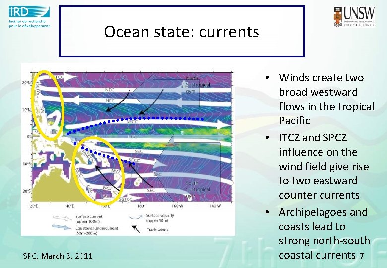Ocean state: currents SPC, March 3, 2011 • Winds create two broad westward flows