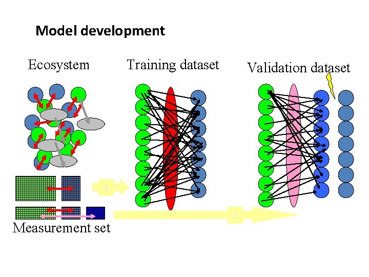 Model development Ecosystem Training dataset Validation dataset 1 Measurement set 2 