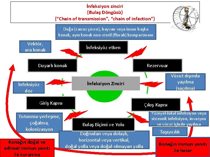 İnfeksiyon zinciri (Bulaş Döngüsü) (“Chain of transmission”, “chain of infection”) Doğa (cansız çevre), hayvan