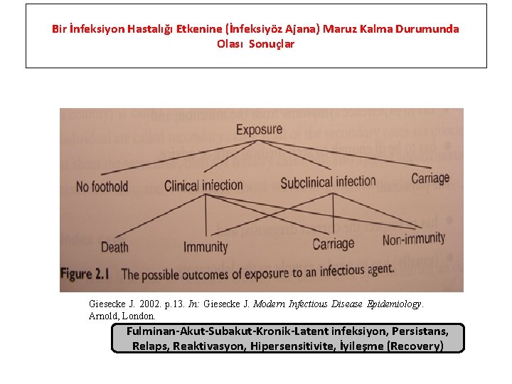 Bir İnfeksiyon Hastalığı Etkenine (İnfeksiyöz Ajana) Maruz Kalma Durumunda Olası Sonuçlar Giesecke J. 2002.