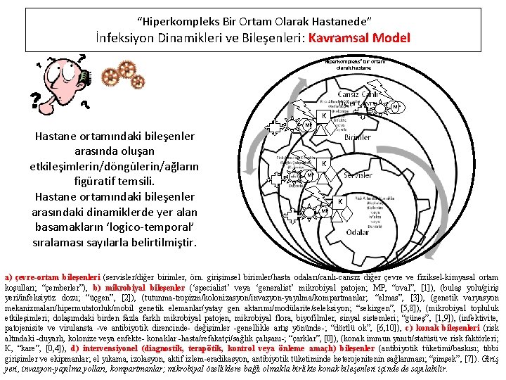 “Hiperkompleks Bir Ortam Olarak Hastanede” İnfeksiyon Dinamikleri ve Bileşenleri: Kavramsal Model “Hiperkompleks” bir ortam