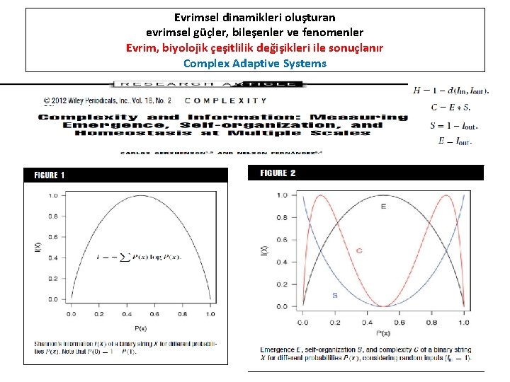 Evrimsel dinamikleri oluşturan evrimsel güçler, bileşenler ve fenomenler Evrim, biyolojik çeşitlilik değişikleri ile sonuçlanır