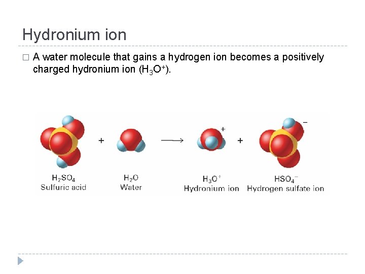 Hydronium ion � A water molecule that gains a hydrogen ion becomes a positively