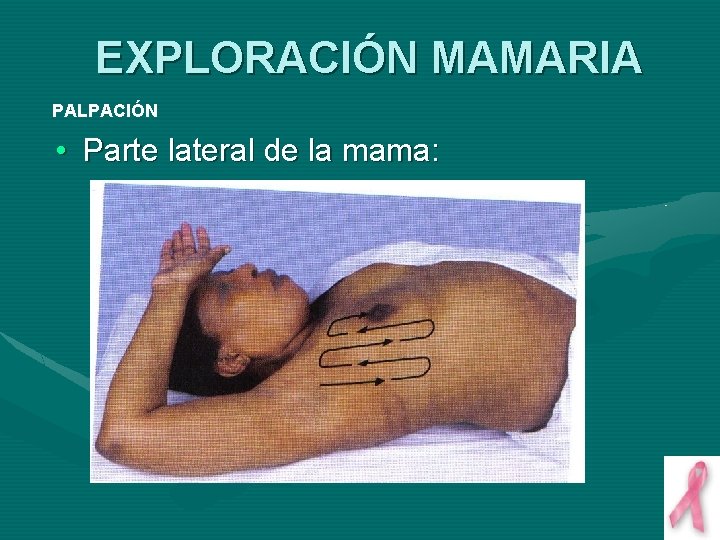 EXPLORACIÓN MAMARIA PALPACIÓN • Parte lateral de la mama: 