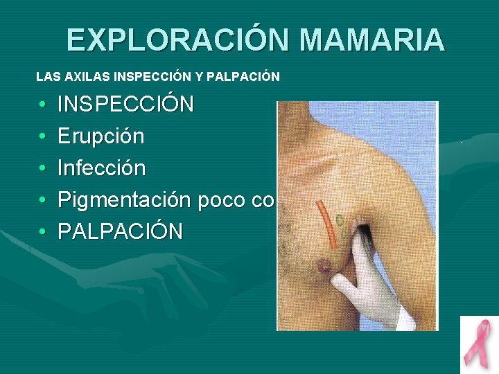 EXPLORACIÓN MAMARIA LAS AXILAS INSPECCIÓN Y PALPACIÓN • • • INSPECCIÓN Erupción Infección Pigmentación