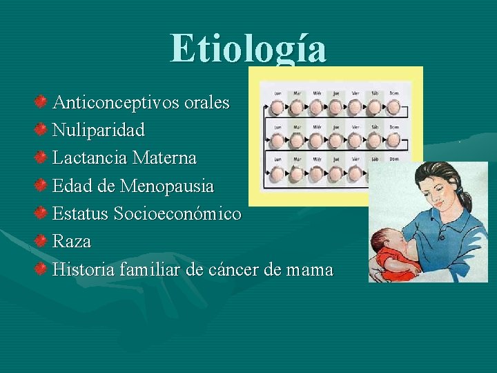 Etiología Anticonceptivos orales Nuliparidad Lactancia Materna Edad de Menopausia Estatus Socioeconómico Raza Historia familiar