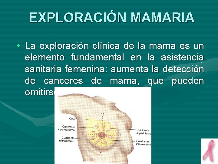 EXPLORACIÓN MAMARIA • La exploración clínica de la mama es un elemento fundamental en