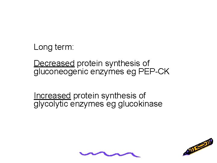 Long term: Decreased protein synthesis of gluconeogenic enzymes eg PEP-CK Increased protein synthesis of