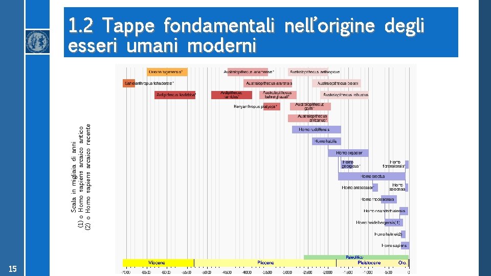 Scala in migliaia di anni (1) o Homo sapiens arcaico antico (2) o Homo