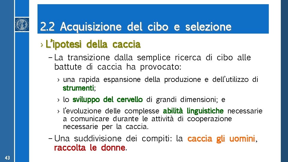 2. 2 Acquisizione del cibo e selezione › L’ipotesi della caccia – La transizione