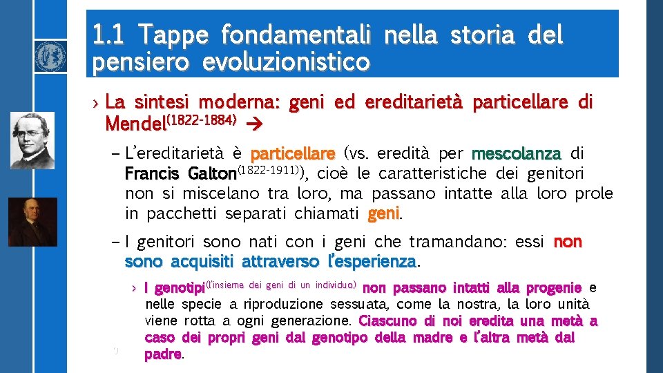 1. 1 Tappe fondamentali nella storia del pensiero evoluzionistico › La sintesi moderna: geni