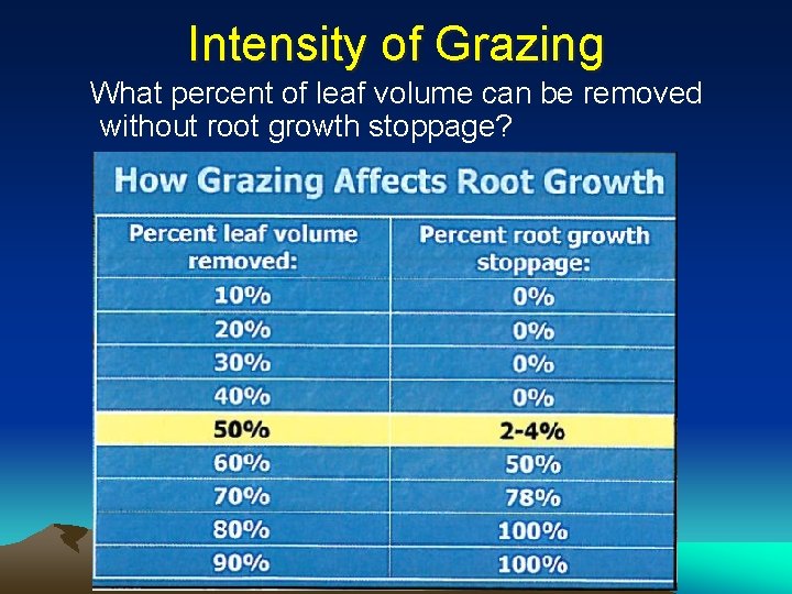 Intensity of Grazing What percent of leaf volume can be removed without root growth