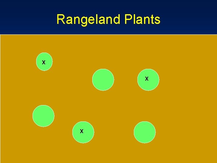 Rangeland Plants X X X 