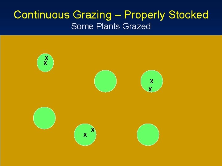 Continuous Grazing – Properly Stocked Some Plants Grazed X X X 