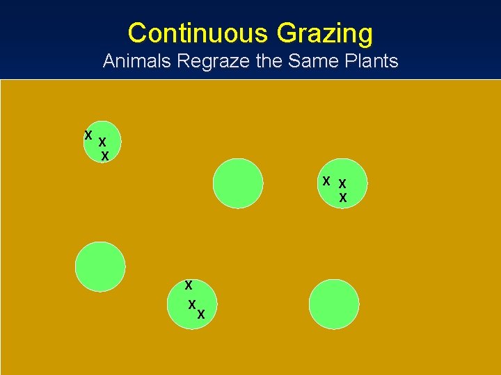 Continuous Grazing Animals Regraze the Same Plants X X X X X 