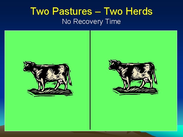Two Pastures – Two Herds No Recovery Time 