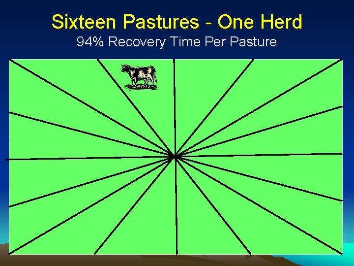 Sixteen Pastures - One Herd 94% Recovery Time Per Pasture 