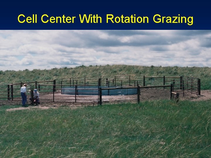 Cell Center With Rotation Grazing 