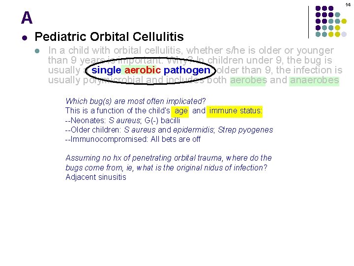 14 A l Pediatric Orbital Cellulitis l In a child with orbital cellulitis, whether