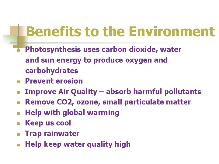 Benefits to the Environment n n n n Photosynthesis uses carbon dioxide, water and