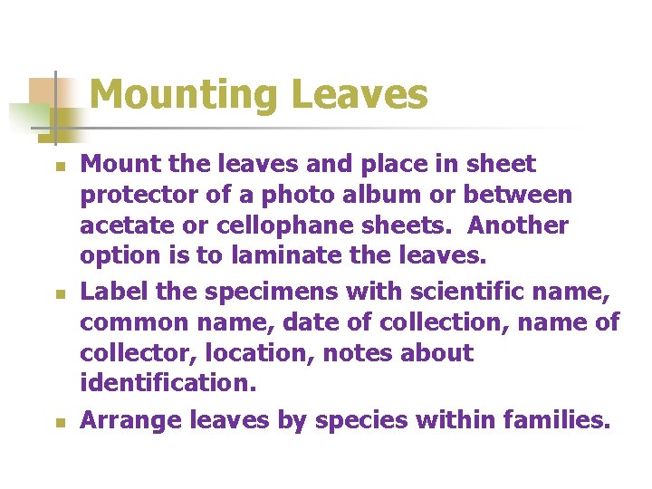 Mounting Leaves n n n Mount the leaves and place in sheet protector of