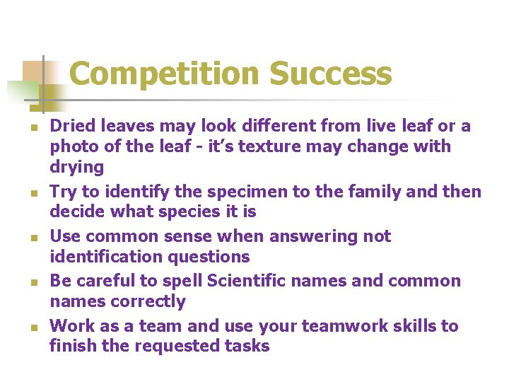 Competition Success n n n Dried leaves may look different from live leaf or