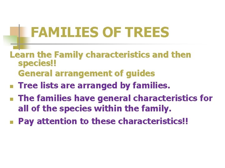 FAMILIES OF TREES Learn the Family characteristics and then species!! General arrangement of guides