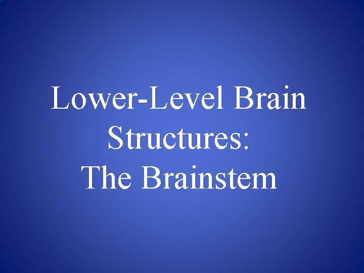 Lower-Level Brain Structures: The Brainstem 