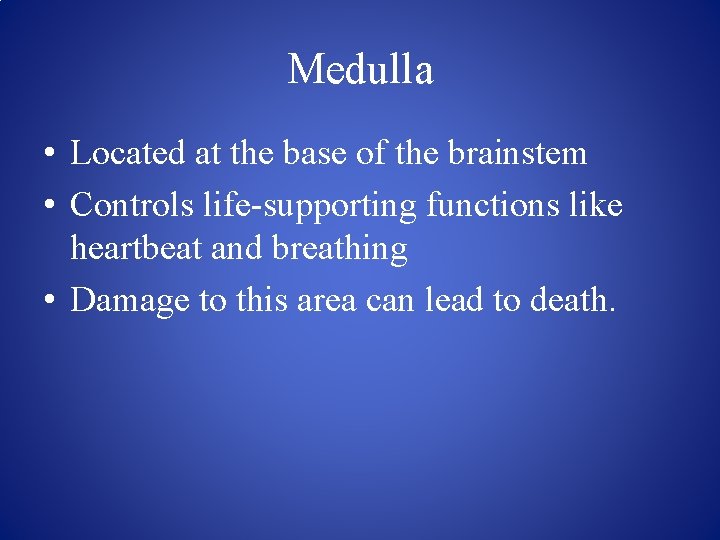 Medulla • Located at the base of the brainstem • Controls life-supporting functions like