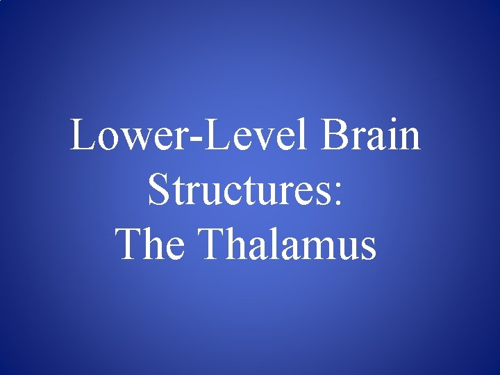Lower-Level Brain Structures: The Thalamus 