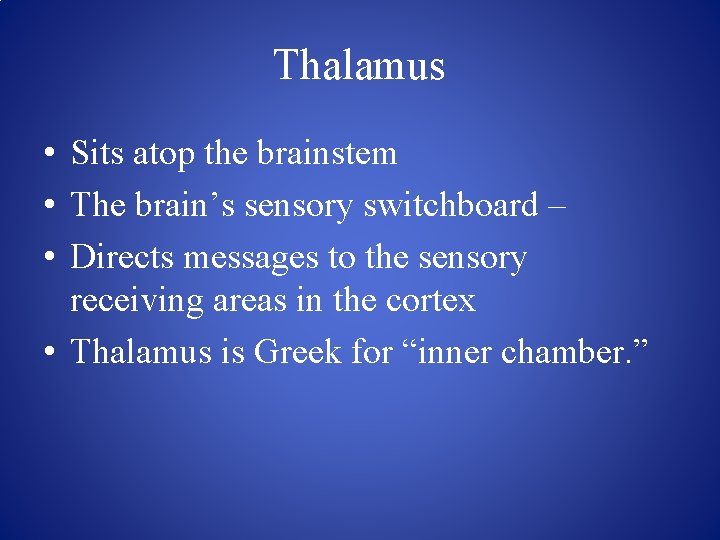 Thalamus • Sits atop the brainstem • The brain’s sensory switchboard – • Directs